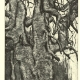 Stumpenbaum